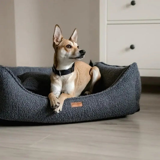 Legowisko premium dla psa i kota ortopedyczne ciemno szare - BELLUNO DARK GREY DENZOO