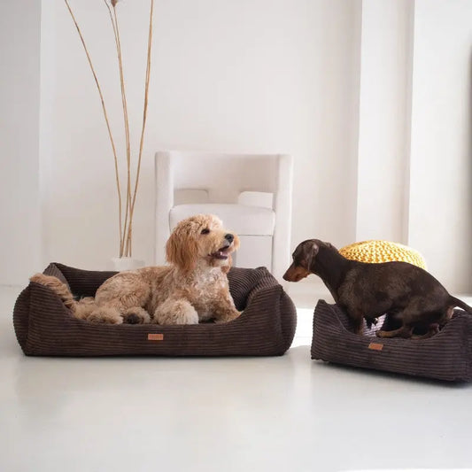 Legowisko dla psa i kota z materacem ortopedycznym brązowe - RIMINI BROWN DENZOO