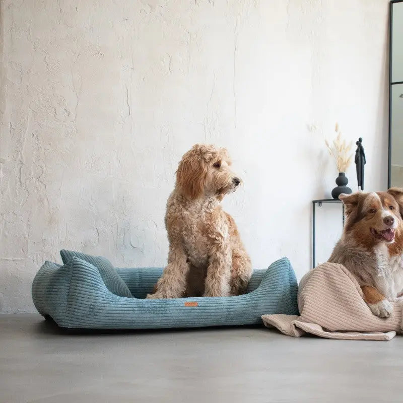 Legowisko dla psa i kota z materacem ortopedycznym turkusowe - RIMINI TURQUISE DENZOO