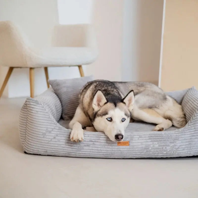 Legowisko dla psa i kota z materacem ortopedycznym szare - RIMINI GREY DENZOO