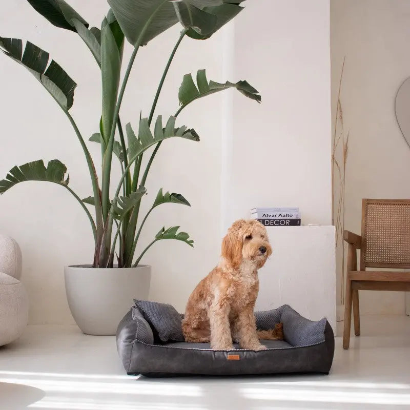 Legowisko dla psa i kota z materacem ortopedycznym ciemno szare - ANCONA DARK GREY DENZOO