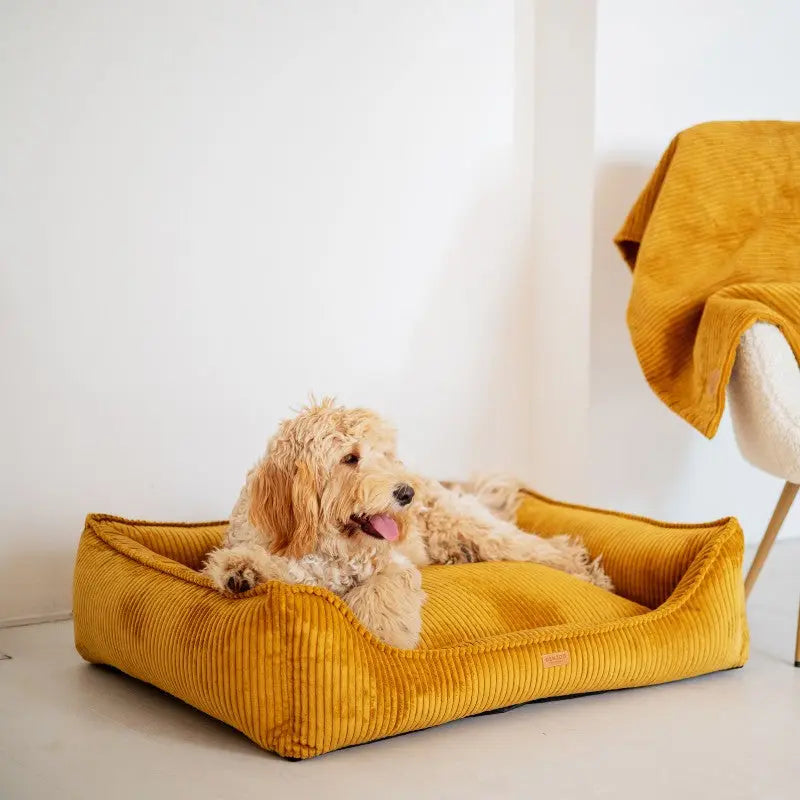 Legowisko premium dla psa i kota ortopedyczne musztardowe - MILANO MUSTARD DENZOO