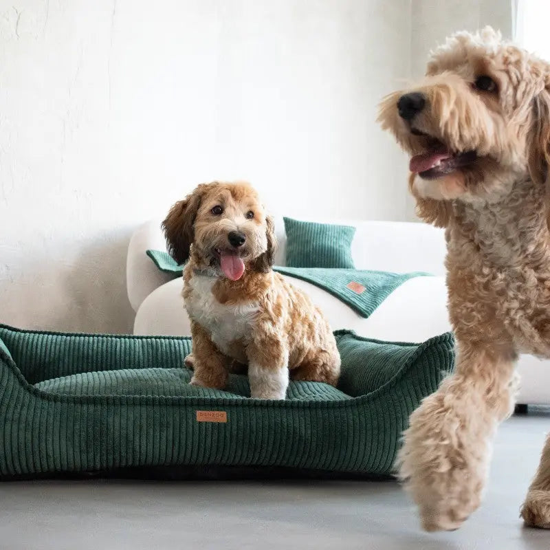 Legowisko premium dla psa i kota ortopedyczne butelkowa zieleń - MILANO BOTTLE-GREEN DENZOO