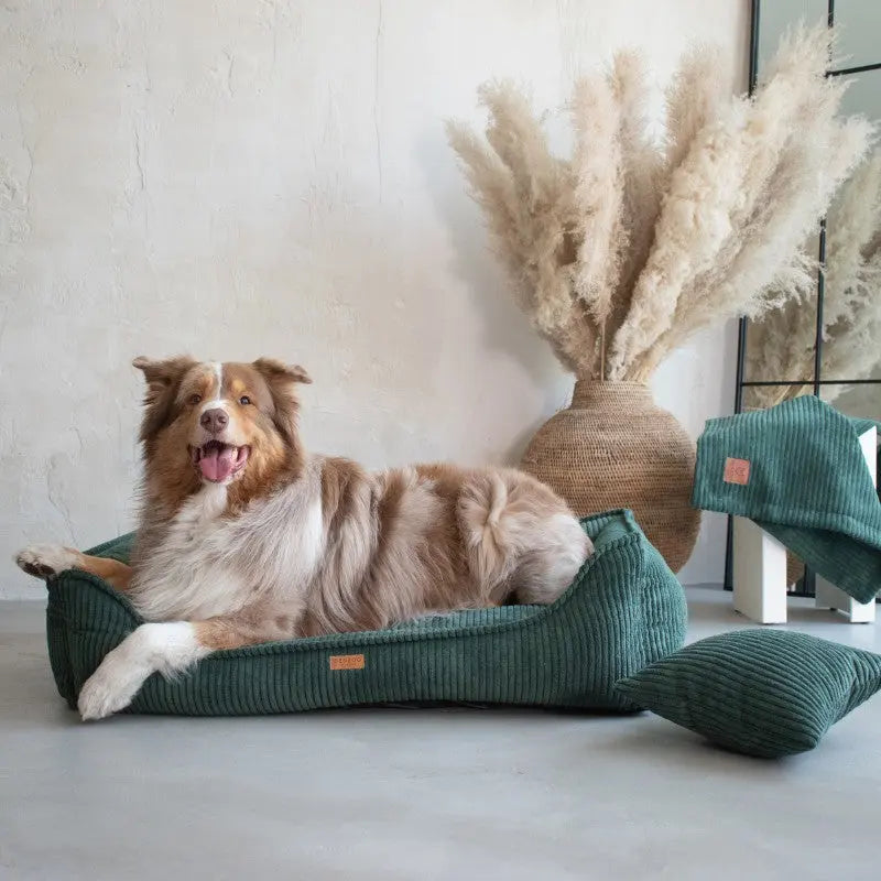 Legowisko premium dla psa i kota ortopedyczne butelkowa zieleń - MILANO BOTTLE-GREEN DENZOO