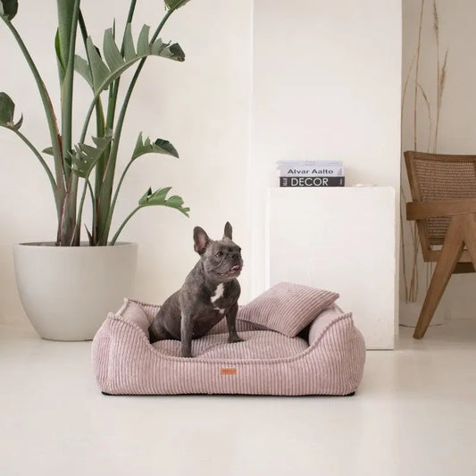 Legowisko premium dla psa i kota ortopedyczne pudrowy róż- MILANO ROSE DENZOO