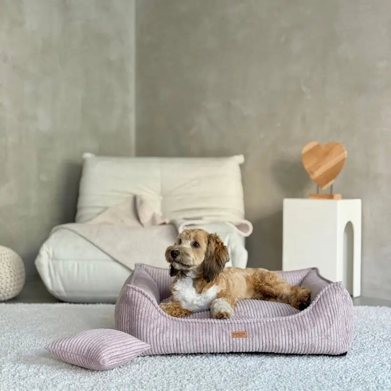 Legowisko premium dla psa i kota ortopedyczne pudrowy róż- MILANO ROSE DENZOO