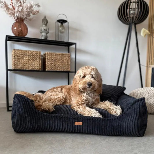 Legowisko premium dla psa i kota ortopedyczne czarne - MILANO BLACK DENZOO