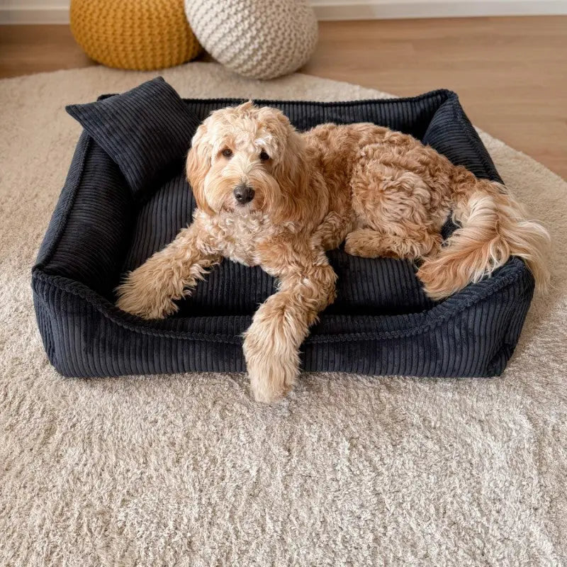 Legowisko premium dla psa i kota ortopedyczne czarne - MILANO BLACK DENZOO