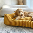 Załaduj obraz do przeglądarki galerii, Legowisko premium dla psa i kota ortopedyczne musztardowe - PALERMO MUSTARD DENZOO
