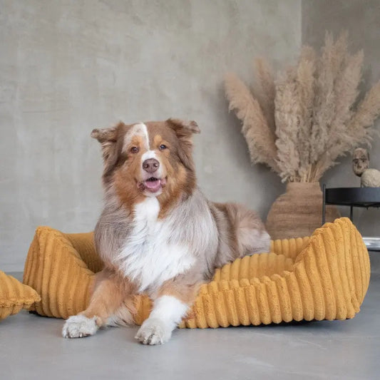 Legowisko premium dla psa i kota ortopedyczne musztardowe - PALERMO MUSTARD DENZOO