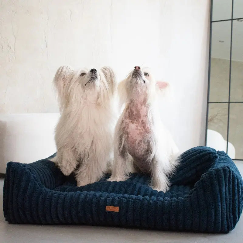 Legowisko premium dla psa i kota ortopedyczne granatowe - PALERMO NAVY BLUE DENZOO