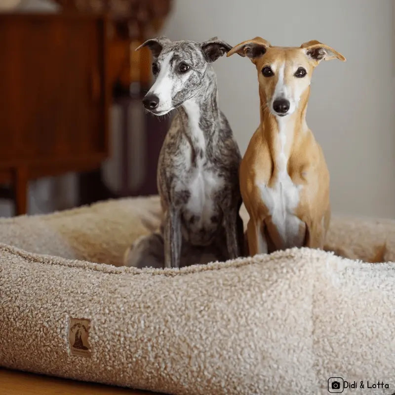 Legowisko Milek psykryj mnie