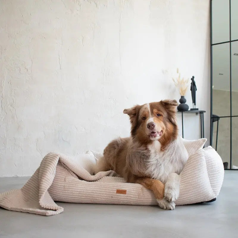 Legowisko dla psa i kota z materacem ortopedycznym beżowe - RIMINI BEIGE DENZOO
