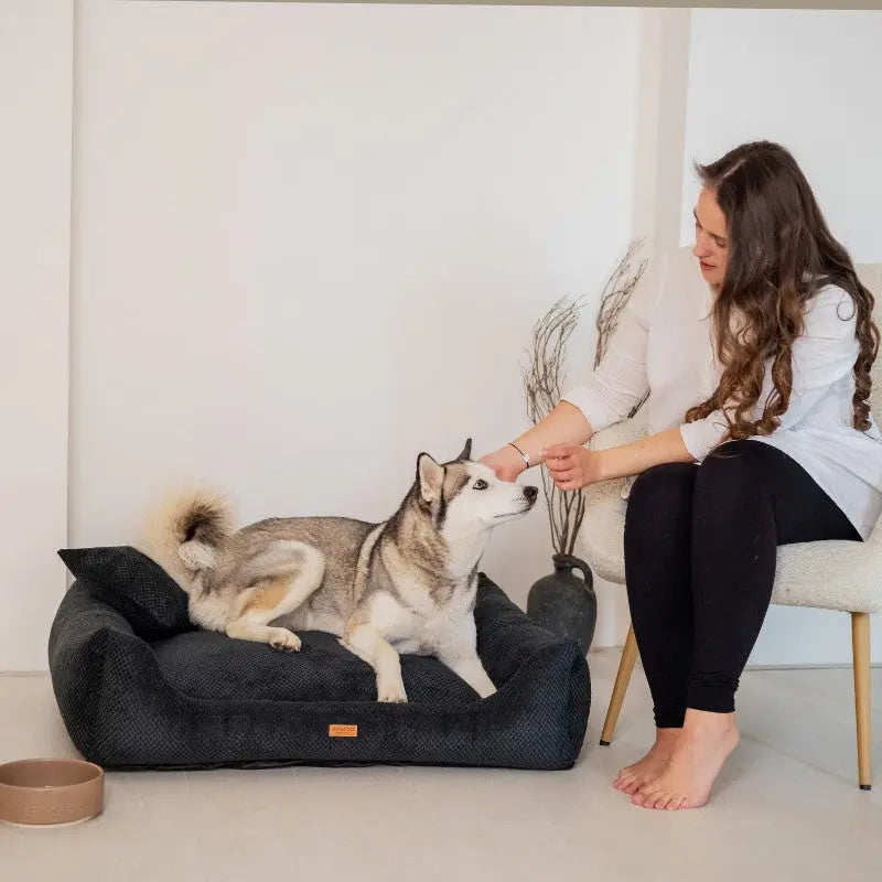 Legowisko dla psa i kota ortopedyczne czarne - PRATO BLACK DENZOO