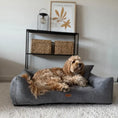 Załaduj obraz do przeglądarki galerii, Legowisko dla psa i kota ortopedyczne ciemno szare - PRATO DARK GREY DENZOO
