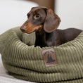 Załaduj obraz do przeglądarki galerii, Legowisko w formie kokonu Mori psykryj mnie
