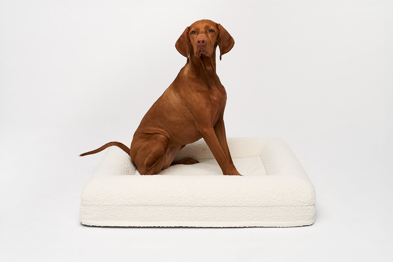 Premium boucle orthopedic bed MEDIUM