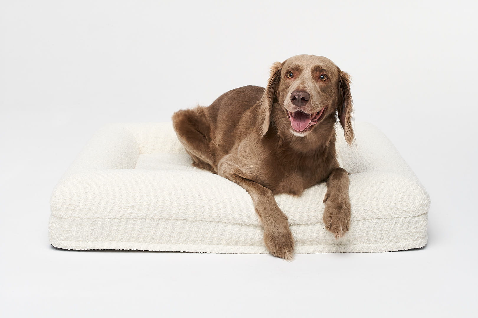 Premium boucle orthopedic bed MEDIUM