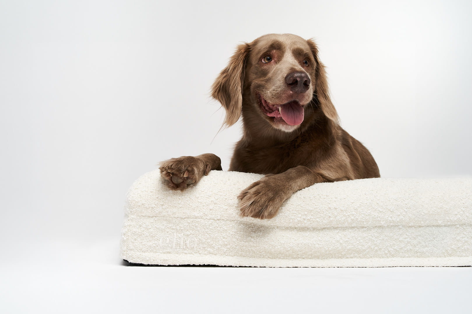 Premium boucle orthopedic bed MEDIUM