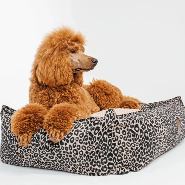 Legowisko Leo psykryj mnie