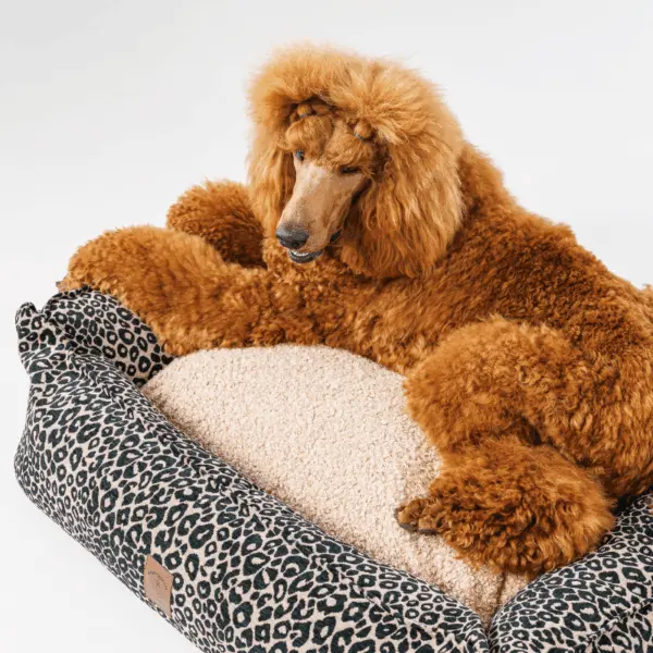 Legowisko Leo psykryj mnie