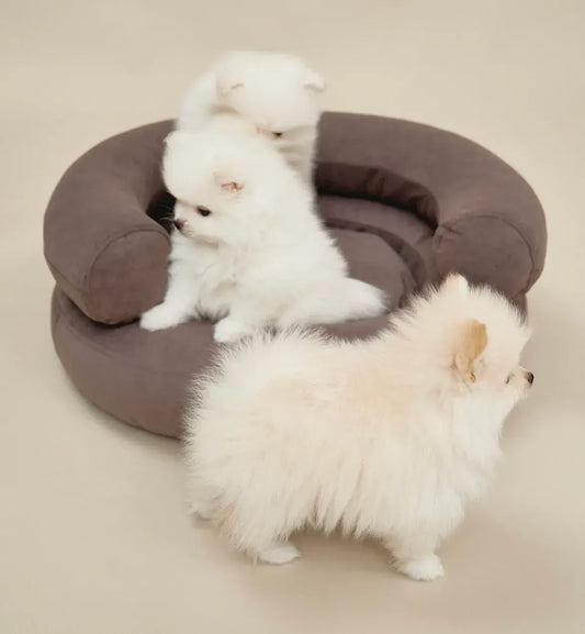 Legowisko "Marshmallow" dla psa i kota w kolorze brązowym