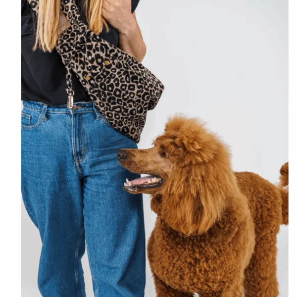 Torba listonoszka dla psa Leo psykryj mnie