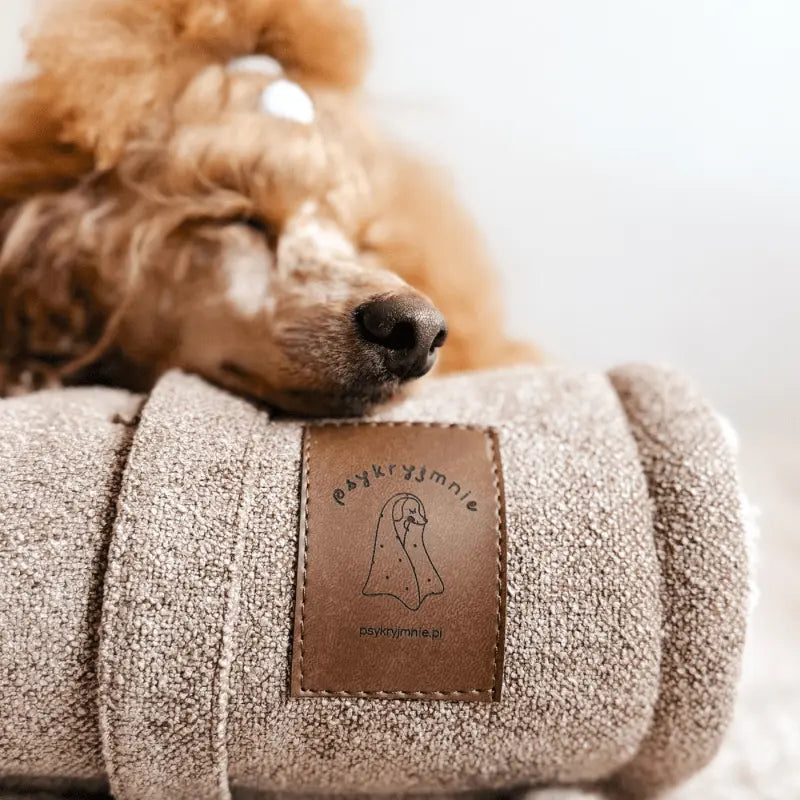 Składana mata podróżna dla psa z zapięciem na zatrzaski, łatwa do spakowania.