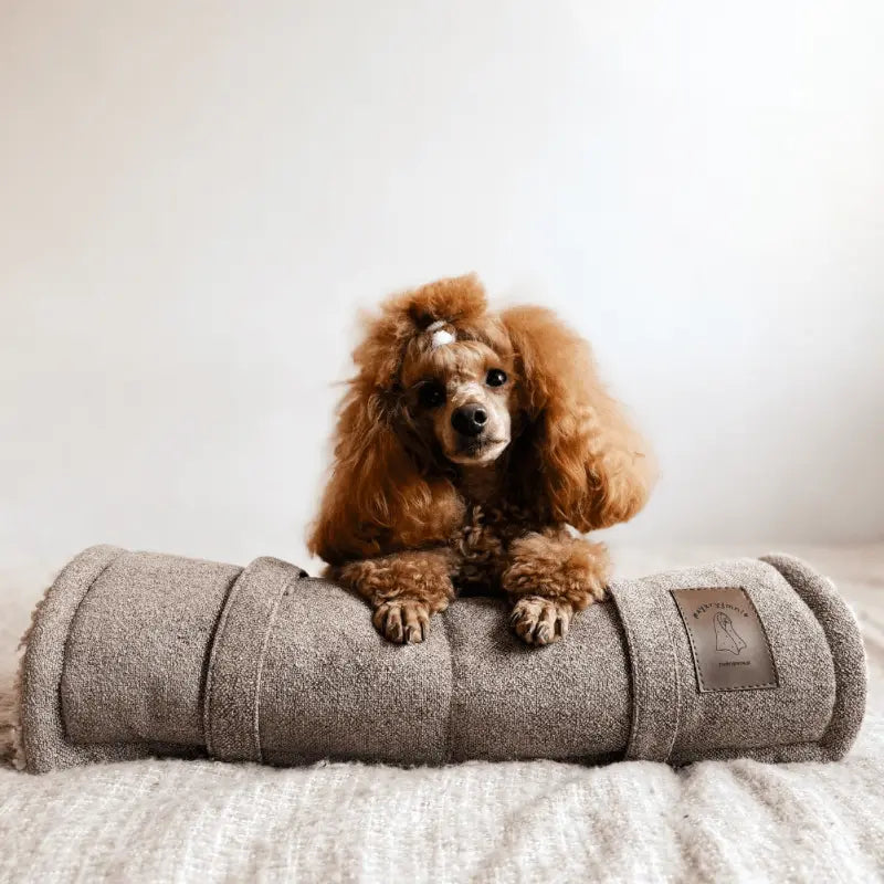 Mata podróżna dla psa – grube wypełnienie watoliną izoluje od zimnego podłoża.