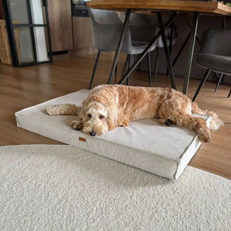 MATERAC dla psa i kota ortopedyczny beżowy - TORINO BEIGE DENZOO