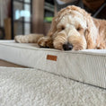 Załaduj obraz do przeglądarki galerii, MATERAC dla psa i kota ortopedyczny beżowy - TORINO BEIGE DENZOO
