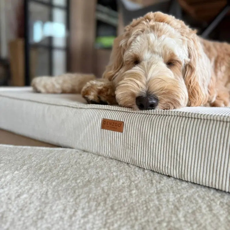 MATERAC dla psa i kota ortopedyczny beżowy - TORINO BEIGE DENZOO