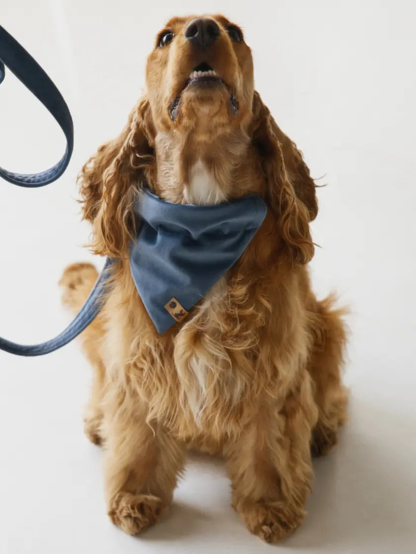 Bandana Niebieska Psotnik