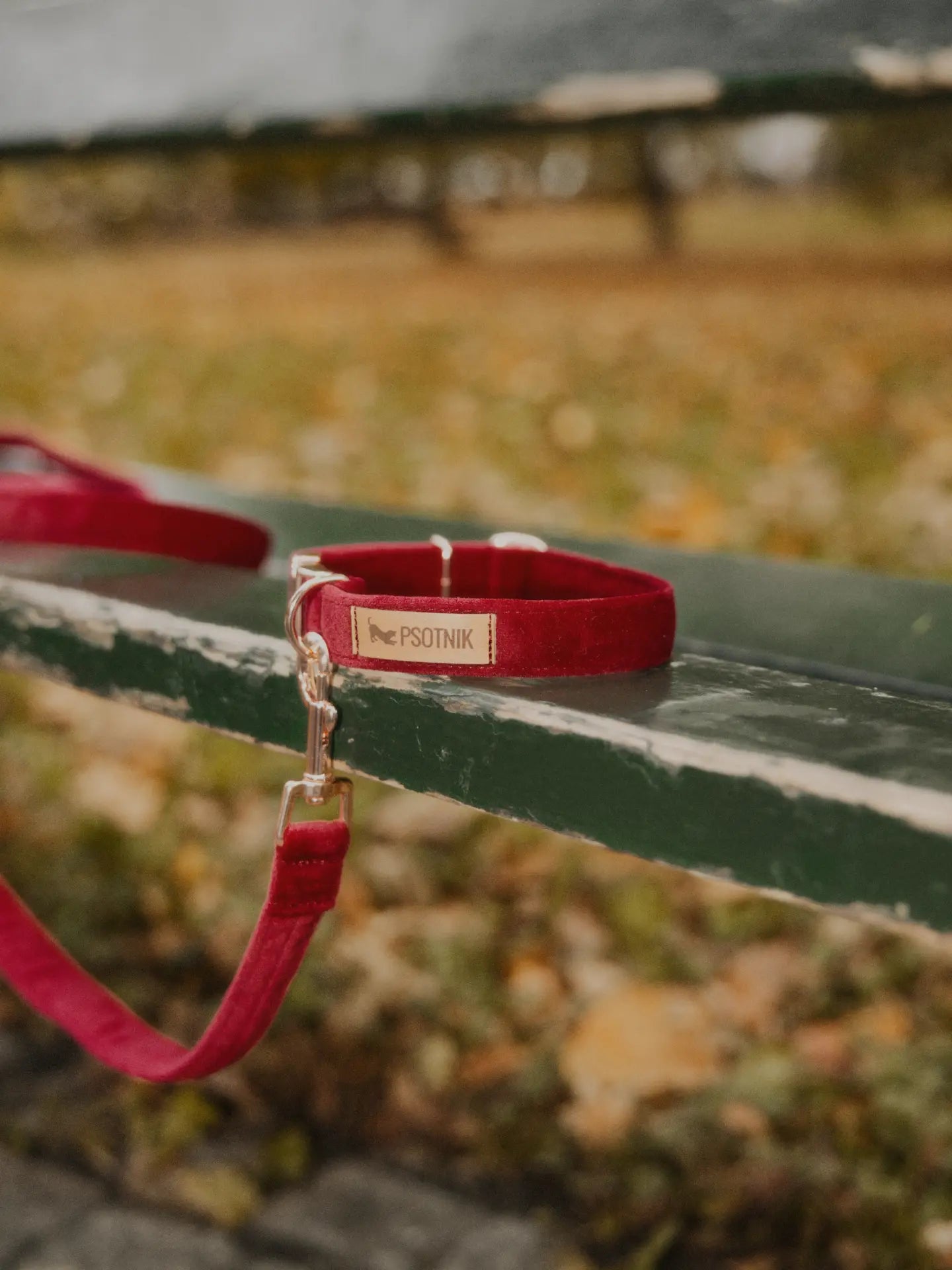 Obroża z klamrą Psotnik bordo Psotnik