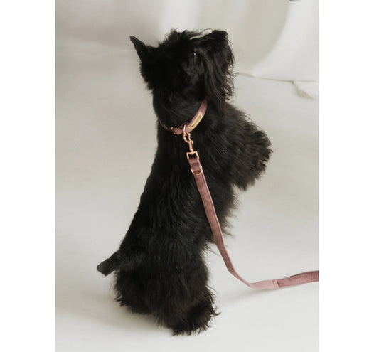 Obroża z klamrą Psotnik wrzos Psotnik