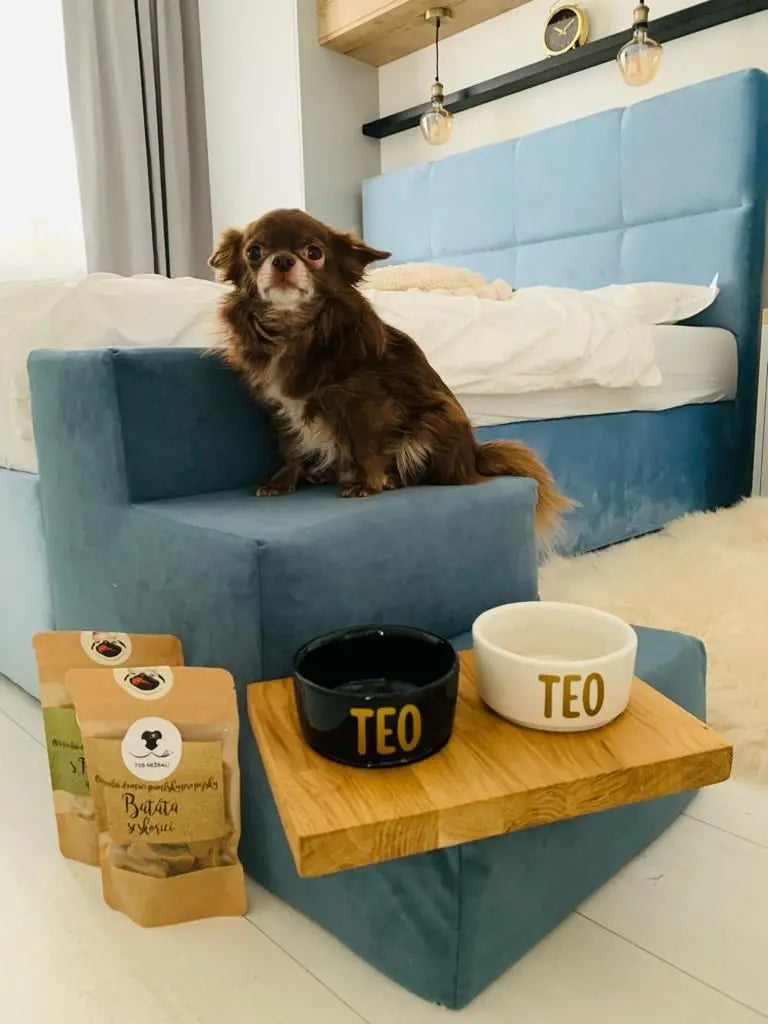 Schodki dla psa - kolor do wyboru DOGIDIGI