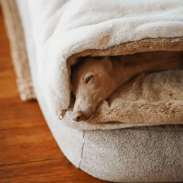 Śpiworek – koc dla psa Psykryjek psykryj mnie