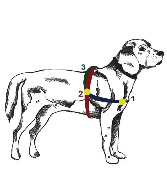 Szelki dla psa Unicorn DOGIDIGI
