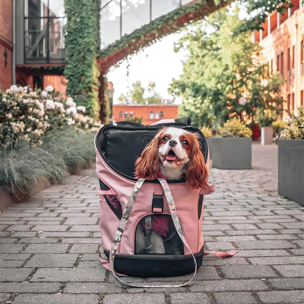 Ibiyaya Plecak Ultralight PRO Coral Pink Ibiyaya