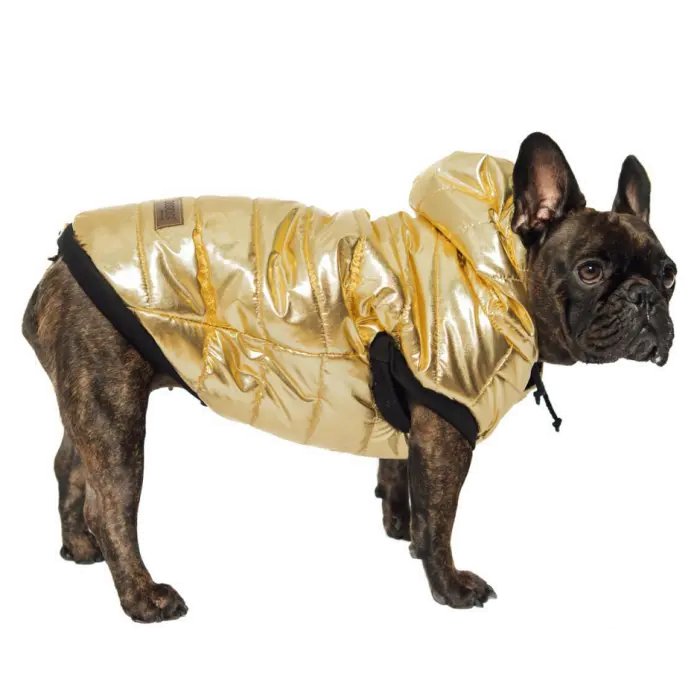 Kurtka zimowa dla psa GOLDENEYE hand made DOGIDIGI