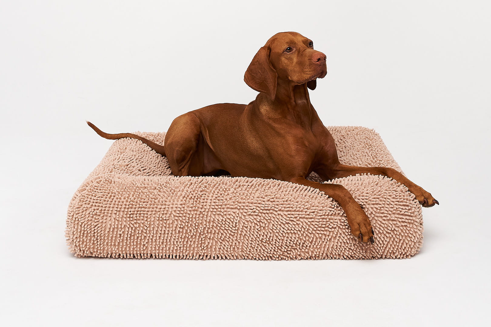 Microfiber protector for the premium boucle orthopedic bed