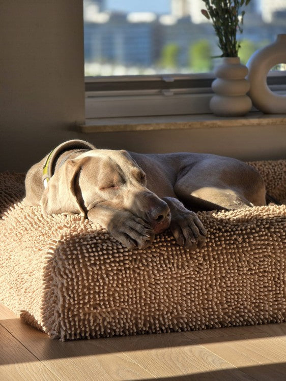 Microfiber protector for the premium boucle orthopedic bed