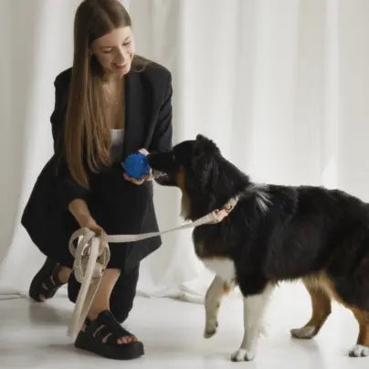 Smycz miejska Beżowy Psotnik Psotnik
