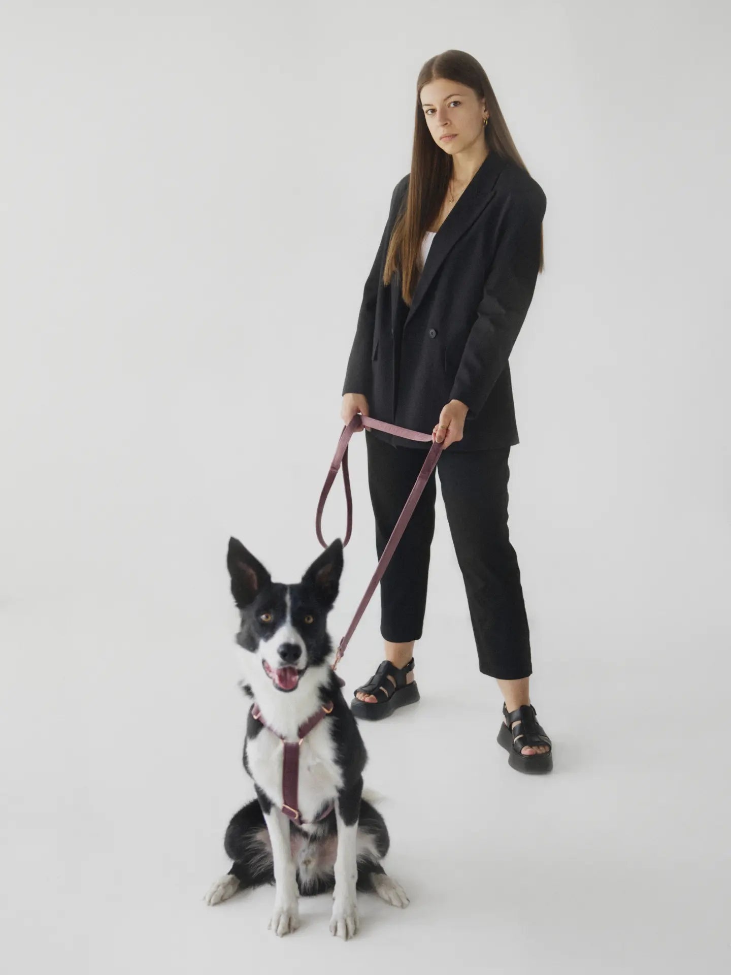 Smycz miejska Wrzosowy Psotnik Psotnik