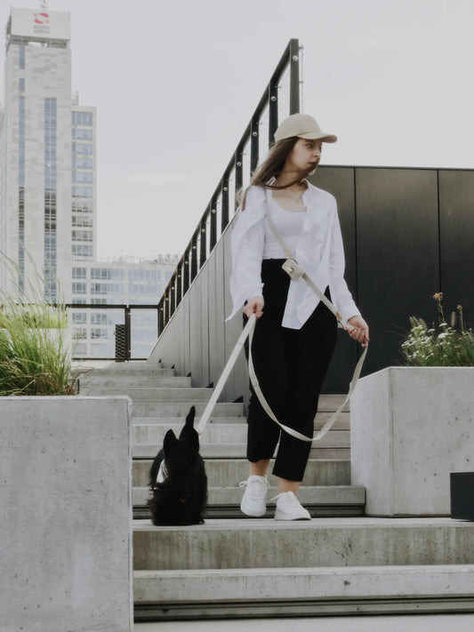 Smycz przepinana Beżowy Psotnik Psotnik