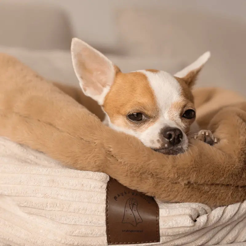 Śpiworek dla psa Psykryjek psykryj mnie