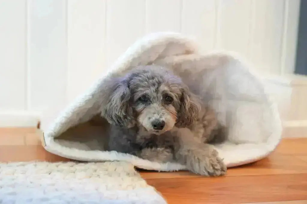 Śpiworek dla psa DREAMY szary Bowl & Bone