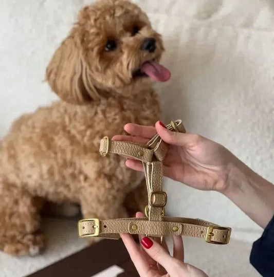 Szelki "Caviar" w kolorze beżowym