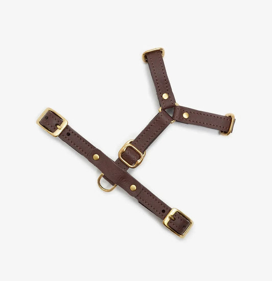 Szelki "Classy" kolor brązowy