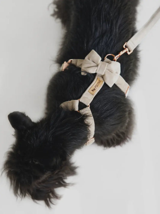 Szelki typu guard beżowe Psotnik